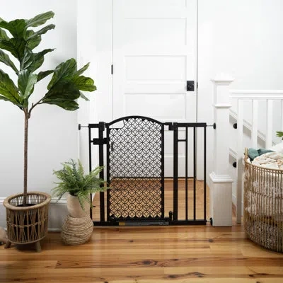 Ingenuity The Doorway 42w Series Pet And Baby Gate, Openings 28"-42" Wide, 30" Tall, Grey In Brown