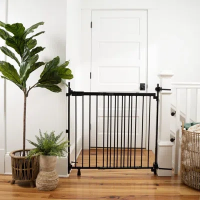 Ingenuity The Stairway+ 46w Series Pet And Baby Gate, Openings 31"-46" Wide, 32.5" Tall - Black
