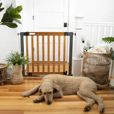 Ingenuity The Thruway 60xw Series Extra Wide Safety Pet And Baby Gate, 36"-60" Wide - Honey Oak In Brown