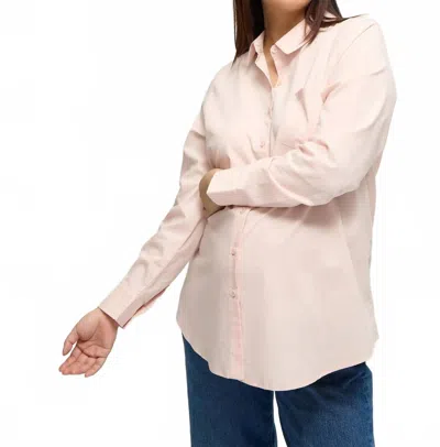 Ingrid & Isabel Classic Button Down Poplin Maternity And Nursing Shirt In Pink
