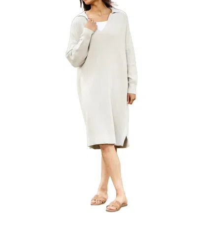 Inherit Clothing Company Hampton Dress In Taupe In Grey