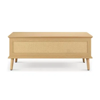 Ink+ivy Teagan Lift-top Rattan Coffee Table Lift-top Storage Coffee Table In Brown