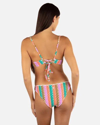 Inmocean Women's Printed Stripe Crochet Scrunch Moderate Bottom In Orchid