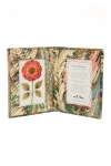 Inner Child Hand-marbled Picture Frame Folding Book In Multi