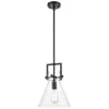 Innovations Lighting 1 Light Mini Pendant
