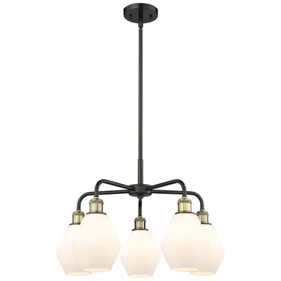 Innovations Lighting Cindyrella 24"w 5 Light Black Brass Stem Chandelier W/ Cased White Sha