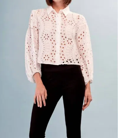 Insight Cotton Eyelet Blouse In White