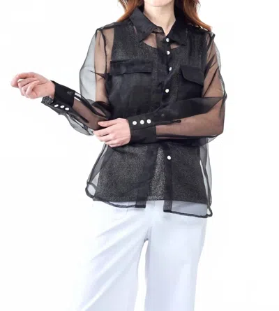 Insight Sheer Organza Solid Blouse In Black