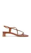 Intentionally Blank Anca Sandal In Brown