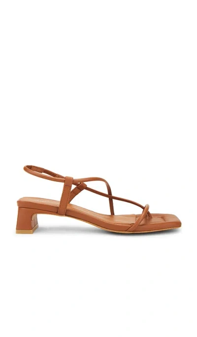 Intentionally Blank Anca Sandals In Tan