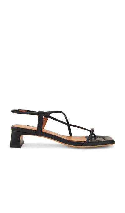 Intentionally Blank Anca Sandals In 黑色
