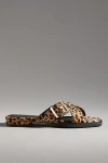 Intentionally Blank Clean Buckle Sandals In Beige
