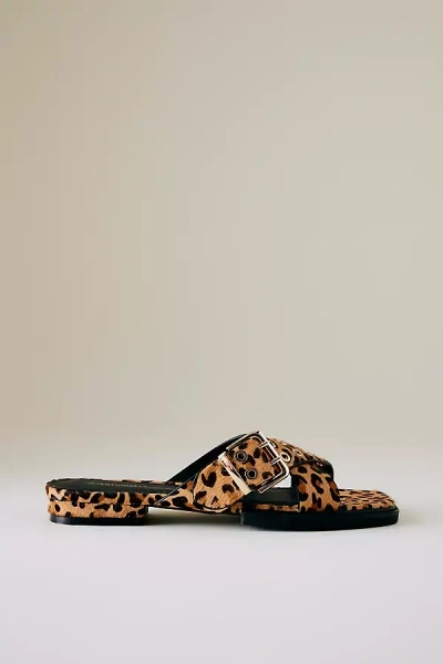 Intentionally Blank Clean Buckle Sandals In Multicolor