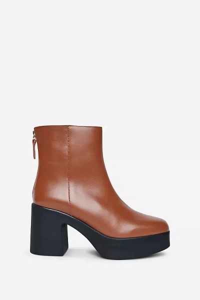 Intentionally Blank Drue 3.0 Ankle Boots In Brown