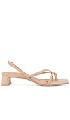 Intentionally Blank Fifi Sandal In 驼色