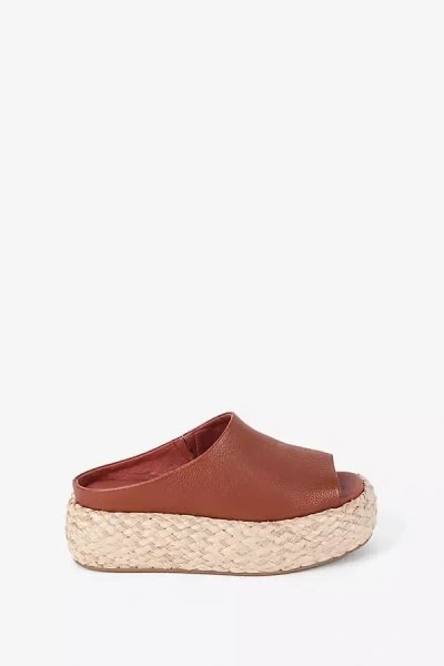 Intentionally Blank Hightide Sandals In Brown