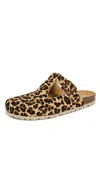 Intentionally Blank Parma Clogs Leopard In Brown