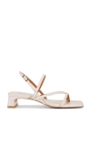 Intentionally Blank Pup Sandal In Cream
