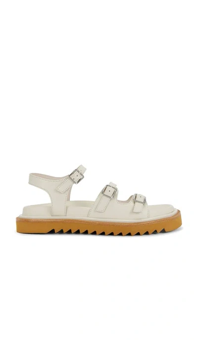 Intentionally Blank Ricoya Sandal In Multi