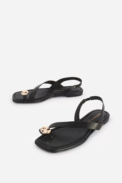 Intentionally Blank Roro Toe-loop Sandals In Black