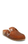Intentionally Blank Buckle Mules In Brown