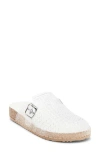 Intentionally Blank Buckle Mules In Multi