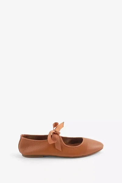 Intentionally Blank Valley Flats In Brown