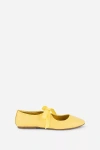 Intentionally Blank Valley Flats In Yellow