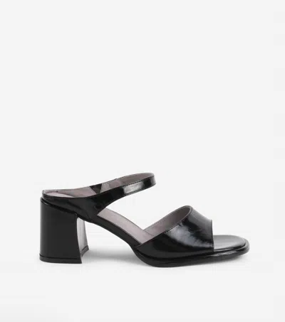 Intentionally Blank Women's Apex Sandals In Black