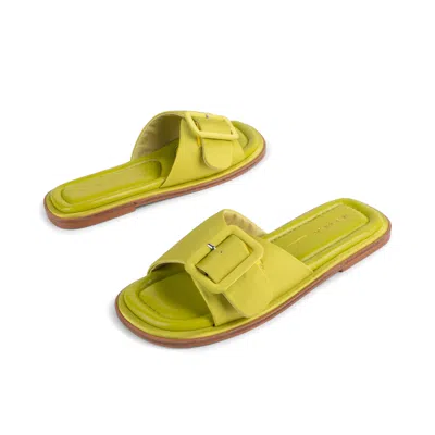 Intentionally Blank Women's Astrid Square Toe Sandal-green
