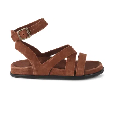 Intentionally Blank Women's Brown Myko Ankle Strap Flat Sandal
