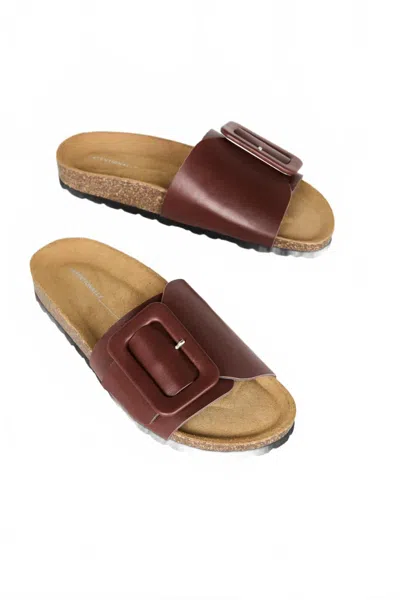 Intentionally Blank Women's Clarice Sandal In Chestnut In Pink