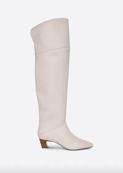 Intentionally Blank Women's Deluca Overknee Boot In Ivory In Multi