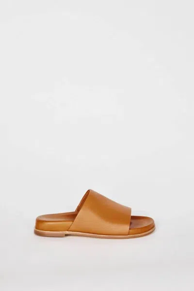 Intentionally Blank Women's Pippy Sandal In Whiskey In Brown