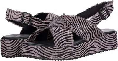 Intentionally Blank Women's Sum Lilac Zebra Sandals In Purple/black