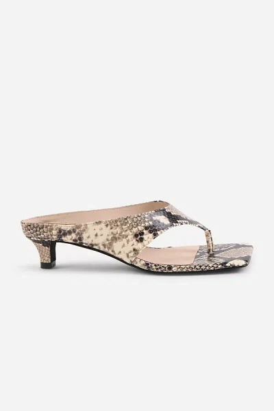 Intentionally Blank Year Ahead Thong Kitten Heels In Brown