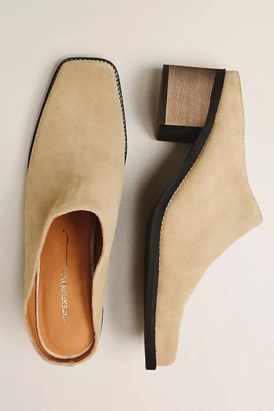 Intentionally Blank Zelda Mule Heels In Neutral