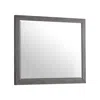 Intercon Dresser Mirror In Brushed Brindle