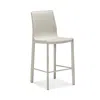 Interlude Home Jada Counter Stool In Gray