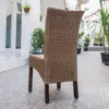 International Caravan Campbell Rattan Wicker Stained Dining Chair