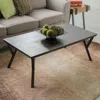 International Caravan Hamburg Contemporary Contemporary Mdf/metal Coffee Table