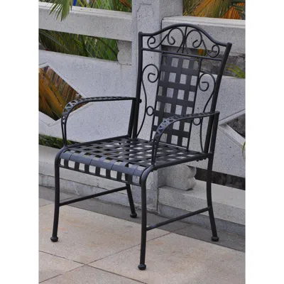 International Caravan Mandalay Set Of Two Iron Chairs In Animal Print