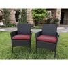 International Caravan Resin Wicker/steel Contemporary Arm Chair With Cushions (set Of 2)