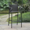 International Caravan Set Of 2 Valencia Resin Wicker/steel Bar Bistro Chairs