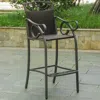 International Caravan Set Of 2 Valencia Resin Wicker/steel Bar Bistro Chairs