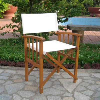 International Caravan Set Of Two Directors Chair With Mission Style Arms In Brown