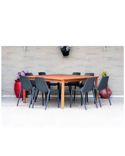 International Home Miami Amazonia Eucalyptus 9pc Patio Dining Set