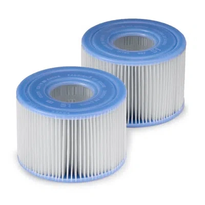 Intex Spa Filter Cartridge In Blue