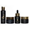 Intoxicated Cosmetics Complete Snail Set (snail Serum, Antidote Moisturizer, Clean Queen, Power Wash In Transparent