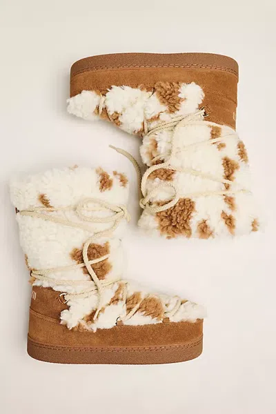 Inuikii Teddy High Snow Boots In Animal Print